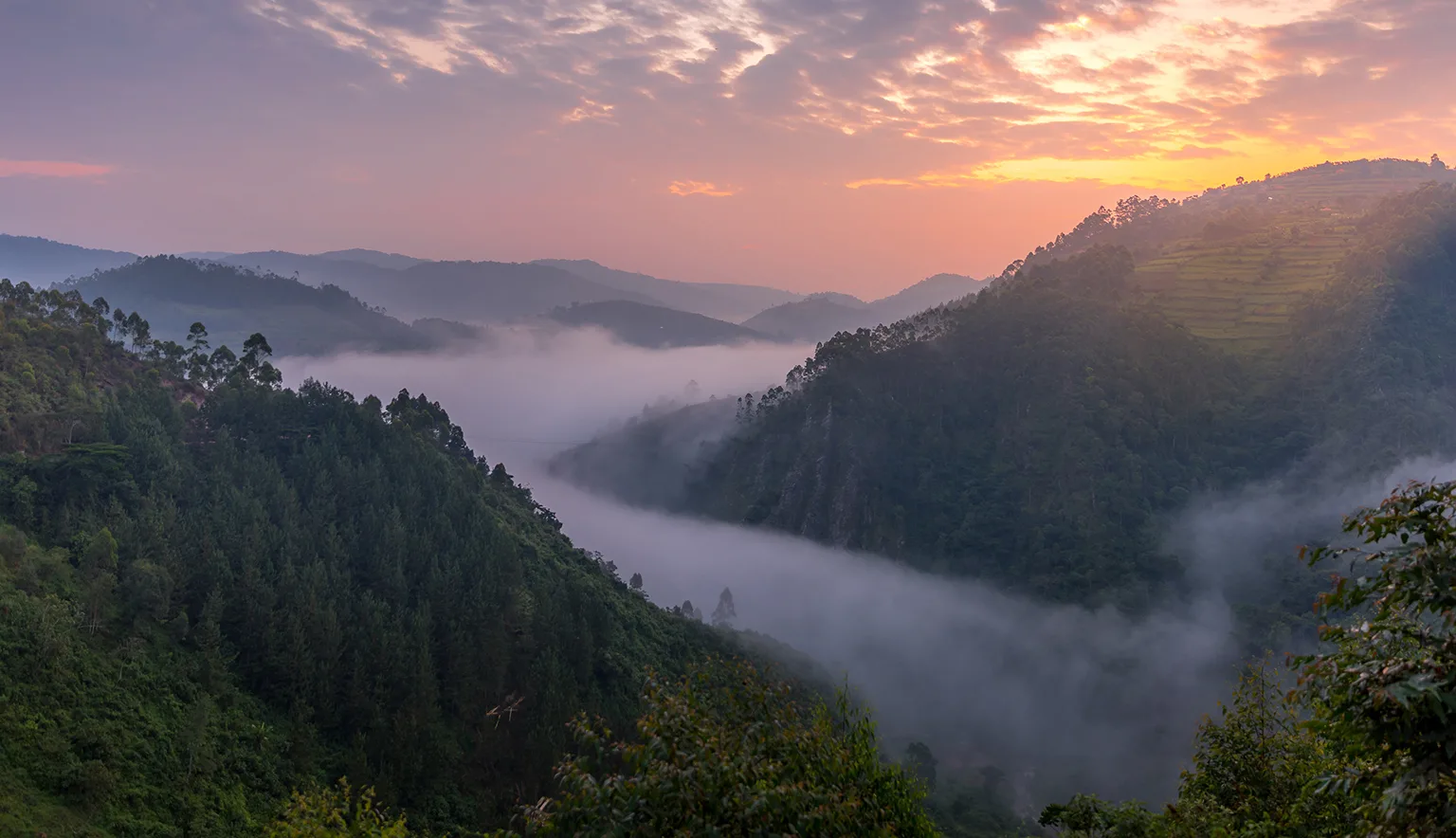 Bwindi Impenetrable National Park