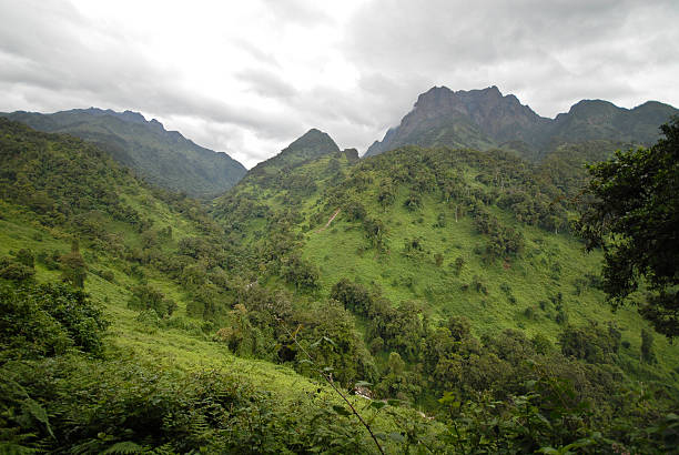 Panoramic view over Kibale Forest from Karangura Peak